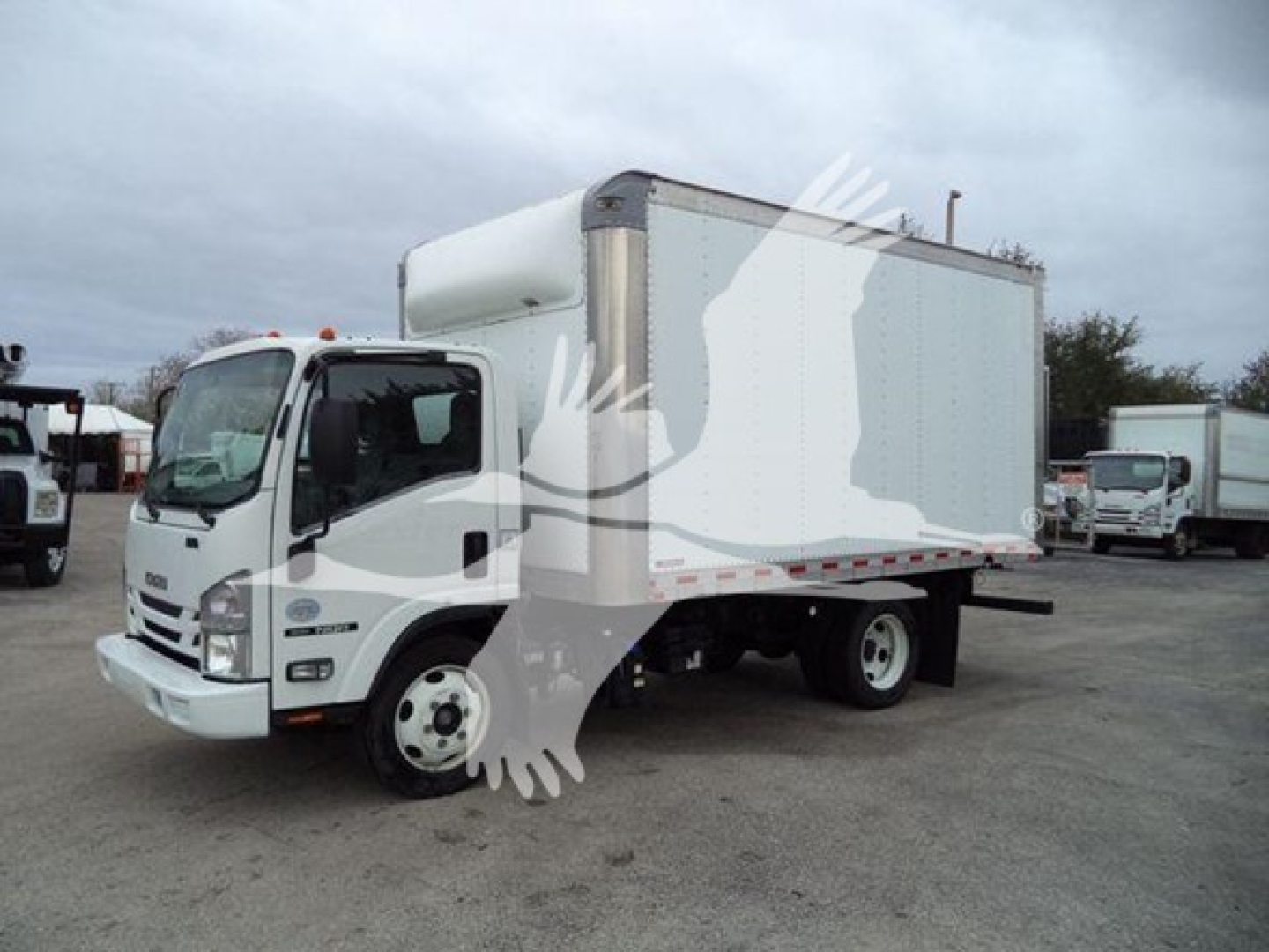 Isuzu NQR box truck in a used condition showing cargo box and cab with VIN JALE5W161K7901724.