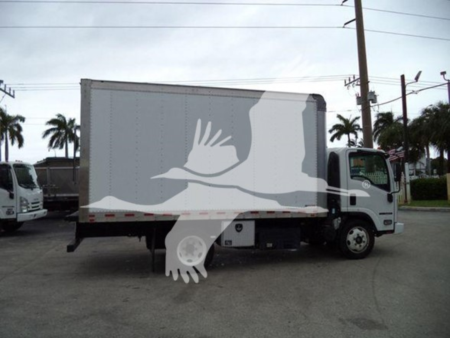 Isuzu NQR box truck in side view with white cargo box and black chassis, faint front cab visible, palm trees in background.