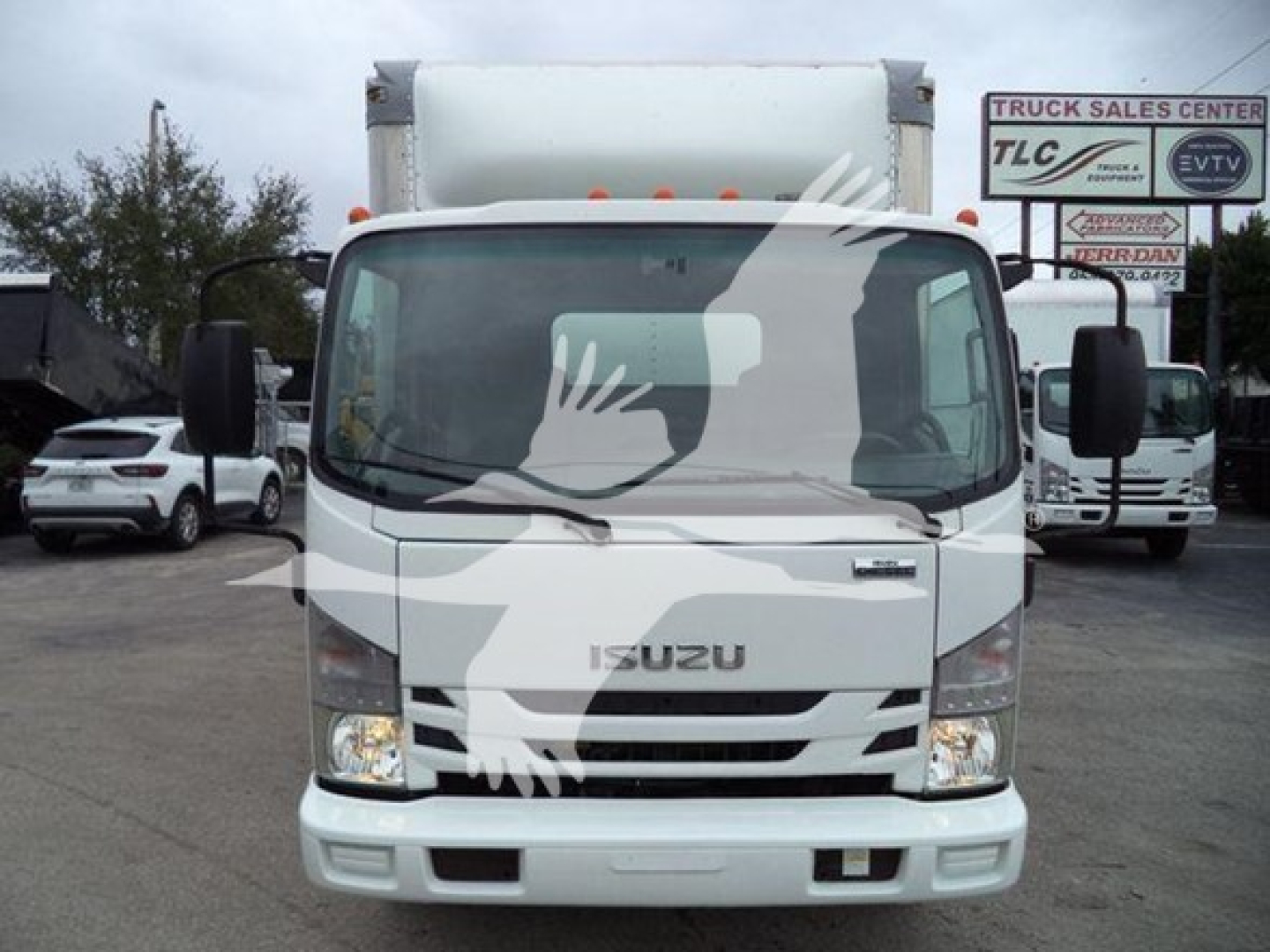Isuzu NQR truck front view showing white cab and box body, grille, headlights, and bumper.