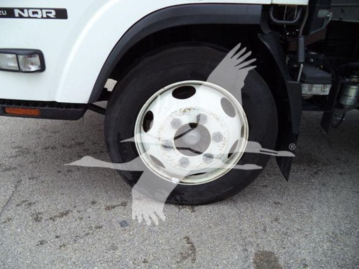 Isuzu NQR front wheel area showing white cab with NQR badge, wheel with white rim; partial view of front bumper and fender; stock/trim decals not fully visible.