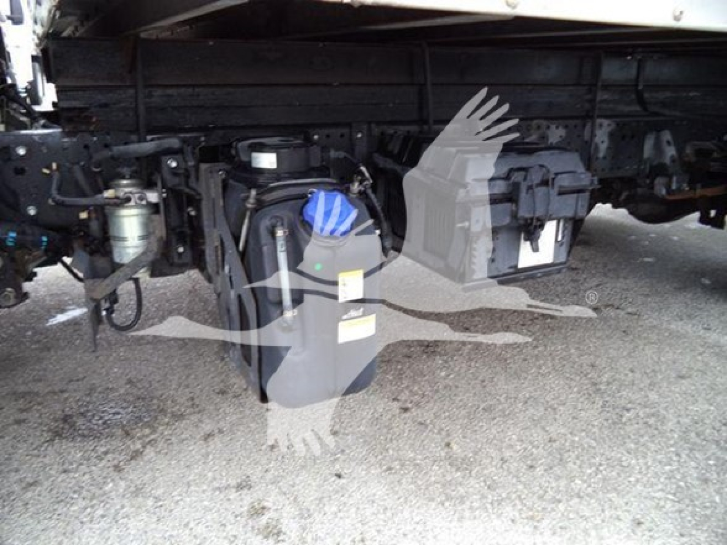 Isuzu NQR undercarriage showing engine bay components and fluid reservoirs with blue cap.