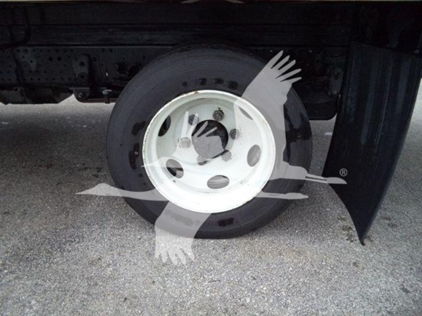 Isuzu NQR wheel and fender area showing white steel wheel with black tire undertruck mud flap.