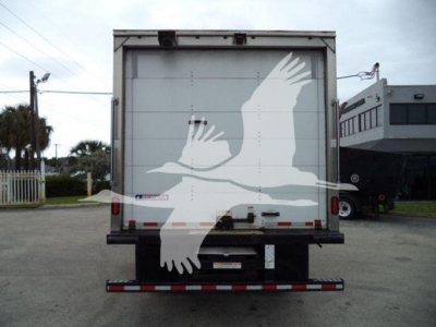 Isuzu NQR truck rear view with box body showing large white bird silhouette on back door.