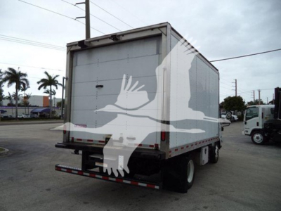 Isuzu box truck rear view showing back doors and bumper with reflective tape; faint watermark overlay of a bird in flight. No legible serials visible on doors.