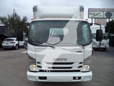Isuzu NQR truck front view showing white cab and box body, grille, headlights, and bumper.