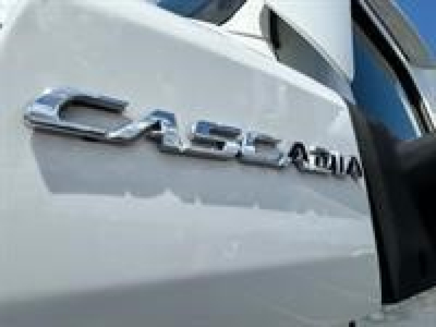 Freightliner Cascadia badge on truck rear door viewed from side.