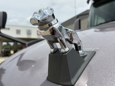 Mack AN64T70 hood ornament dog perched on hood with chrome finish and reflection