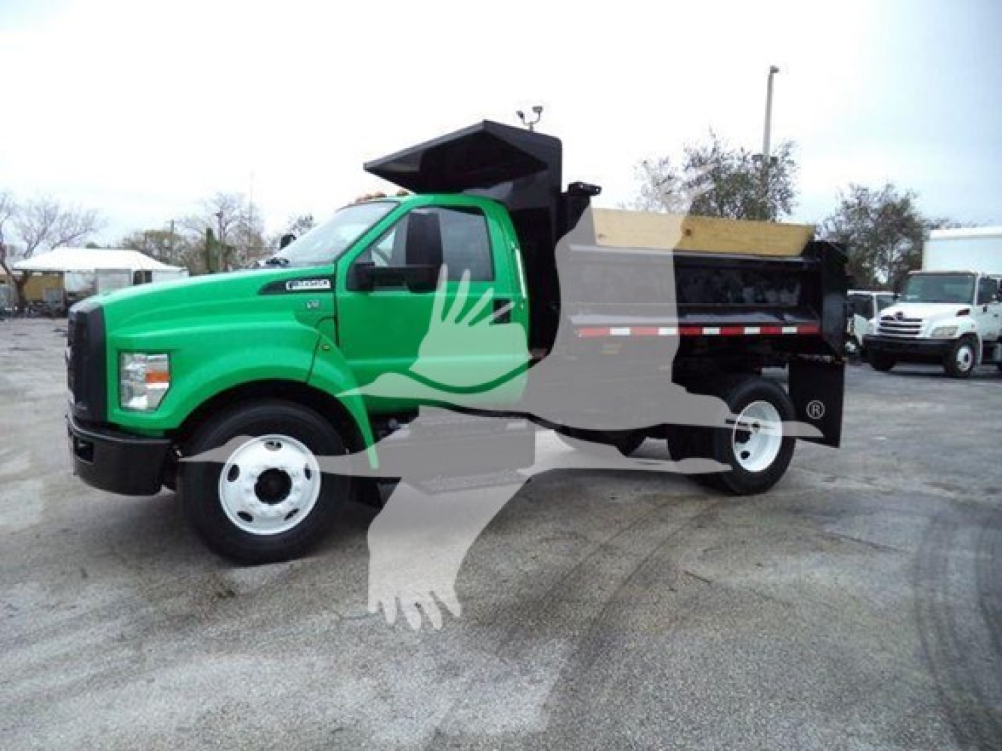 Green Ford F-650 Dump truck with black dump bed and white wheels, side view showing cab and dumping bed.