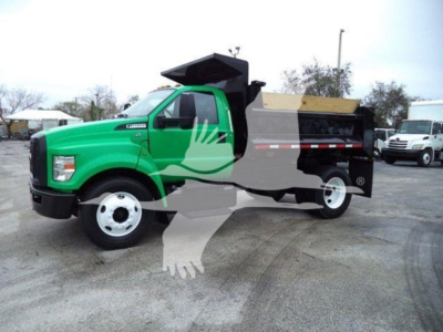 Green Ford F-650 Dump truck with black dump bed and white wheels, side view showing cab and dumping bed.