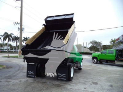 Ford F650 dump truck with raised black dump bed and green cab, stock number T09276, VIN 1FDNF6AY9HDB09276.