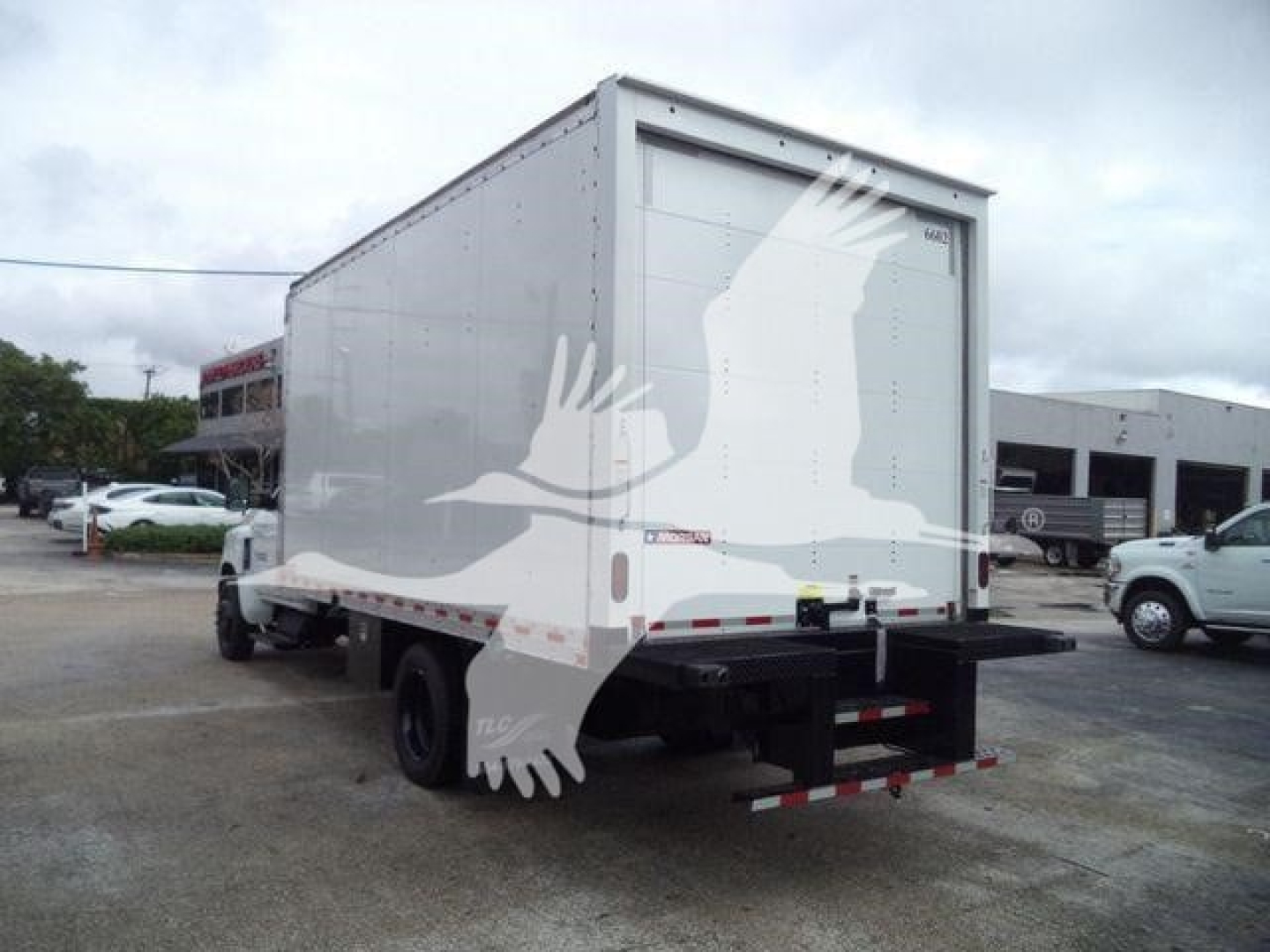 Box truck with a white cargo box and black rear bumper in a dealership lot.