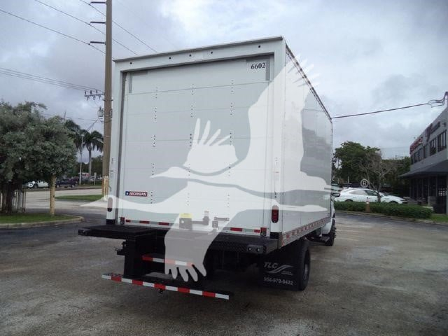 Chevrolet Silverado 6500HD box truck rear view showing cargo box and taillights.