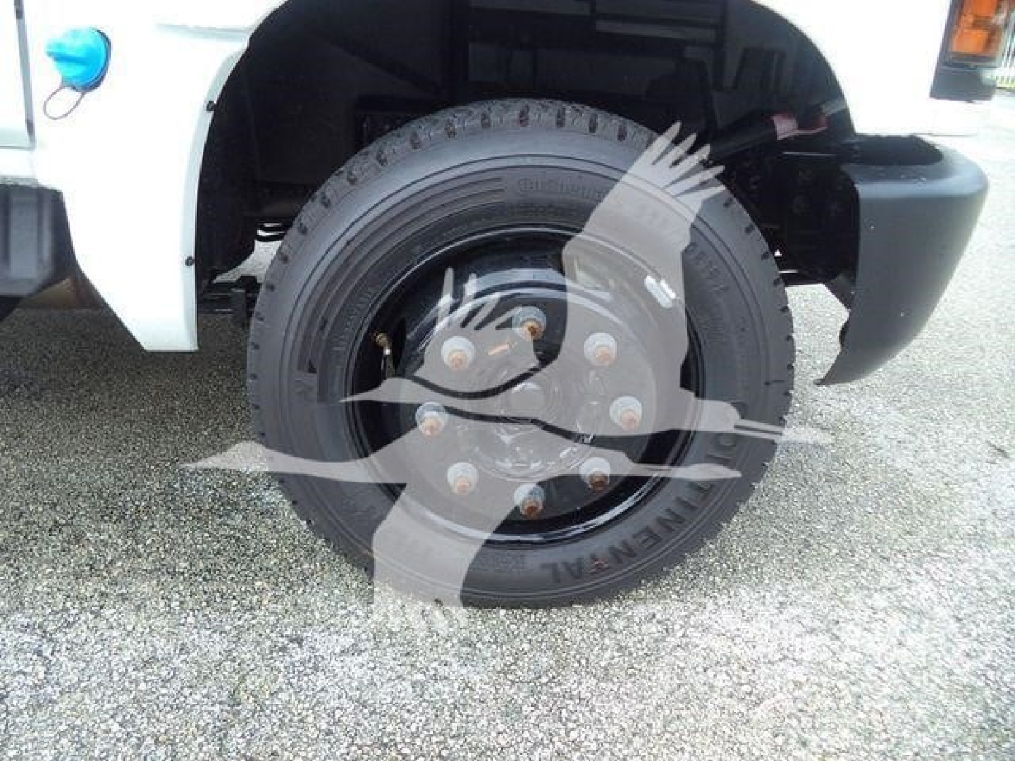 Chevrolet Silverado 6500HD front wheel showing steel hub with lug nuts and black tire on a white truck.
