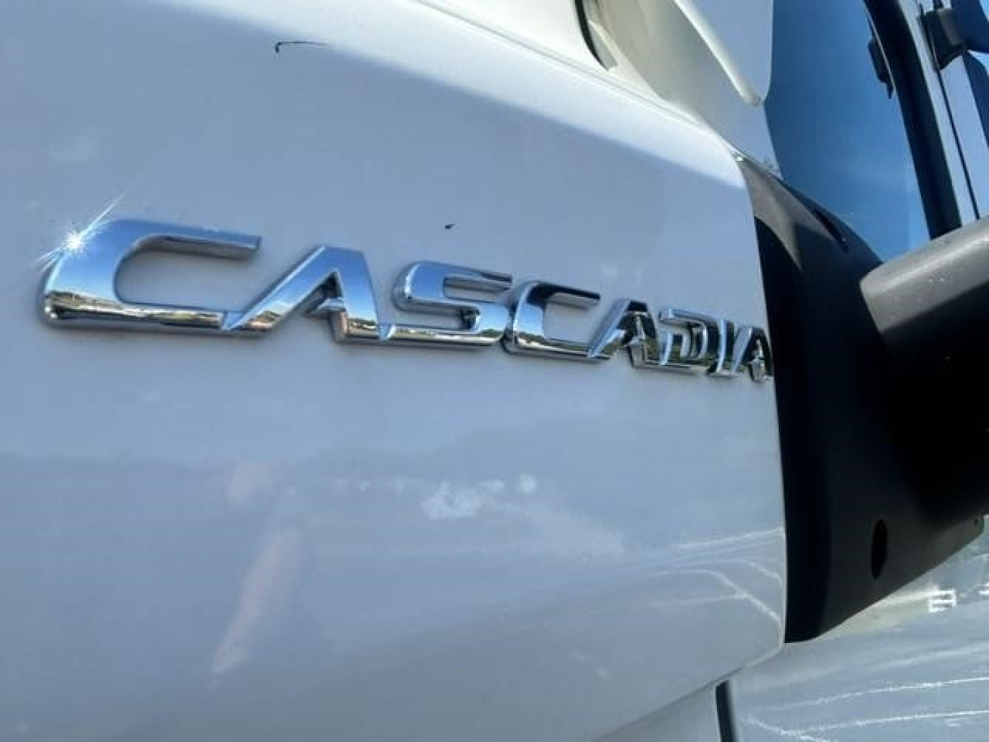 Freightliner Cascadia badge on the truck door side (Casd).