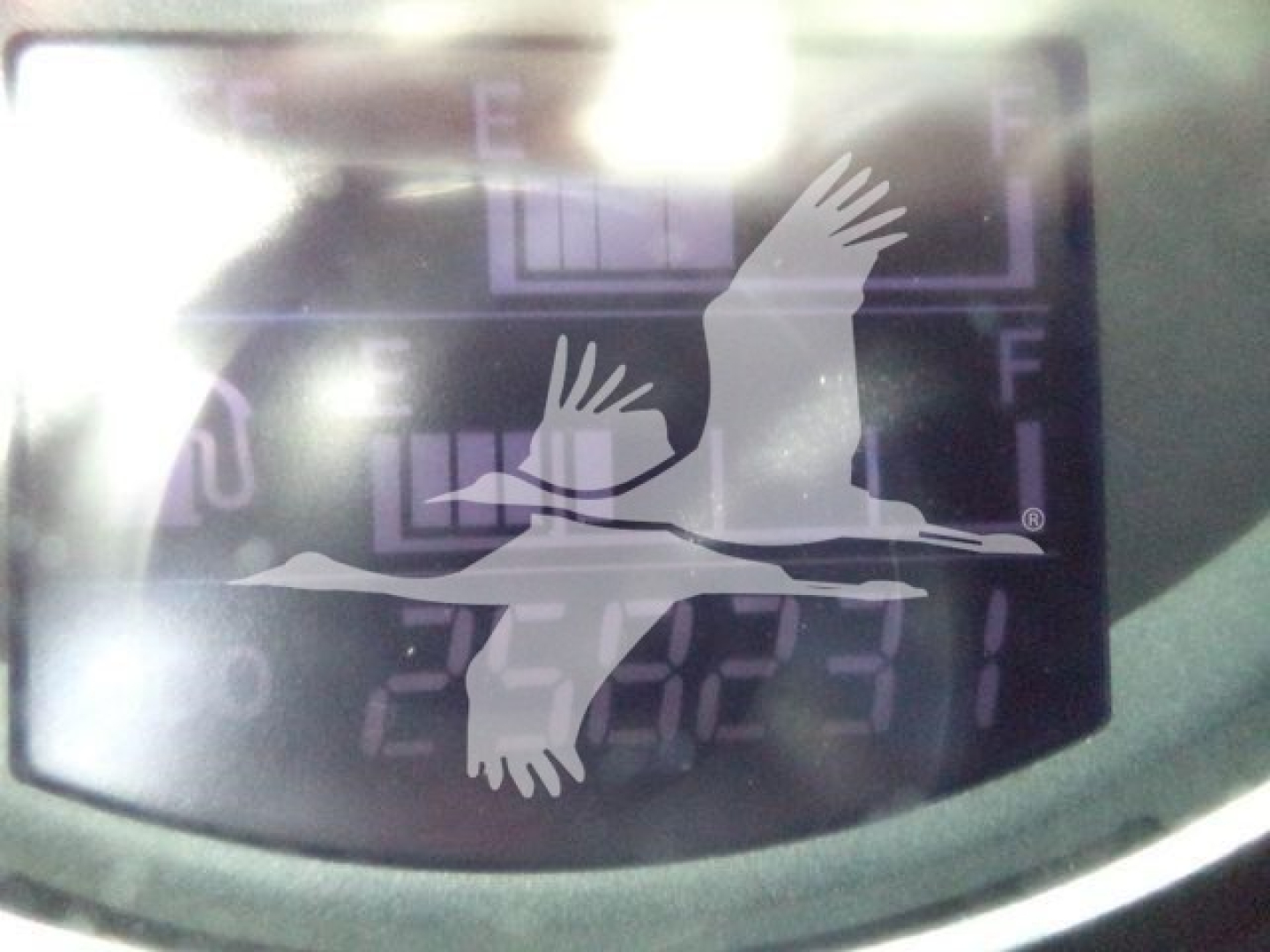 Dashboard display showing a folding white bird logo overlaid on a digital readout with numbers, in a blurred reflection.