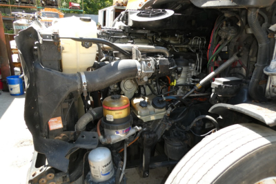 Freightliner Cascadia 125 engine bay showing coolant reservoir, air filter canister, hoses, and various engine components.