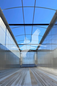 Trailer interior showing empty metal floor and sidewalls with a curved transparent roof; long perspective hallway inside a Dorsey Walking Floor trailer.