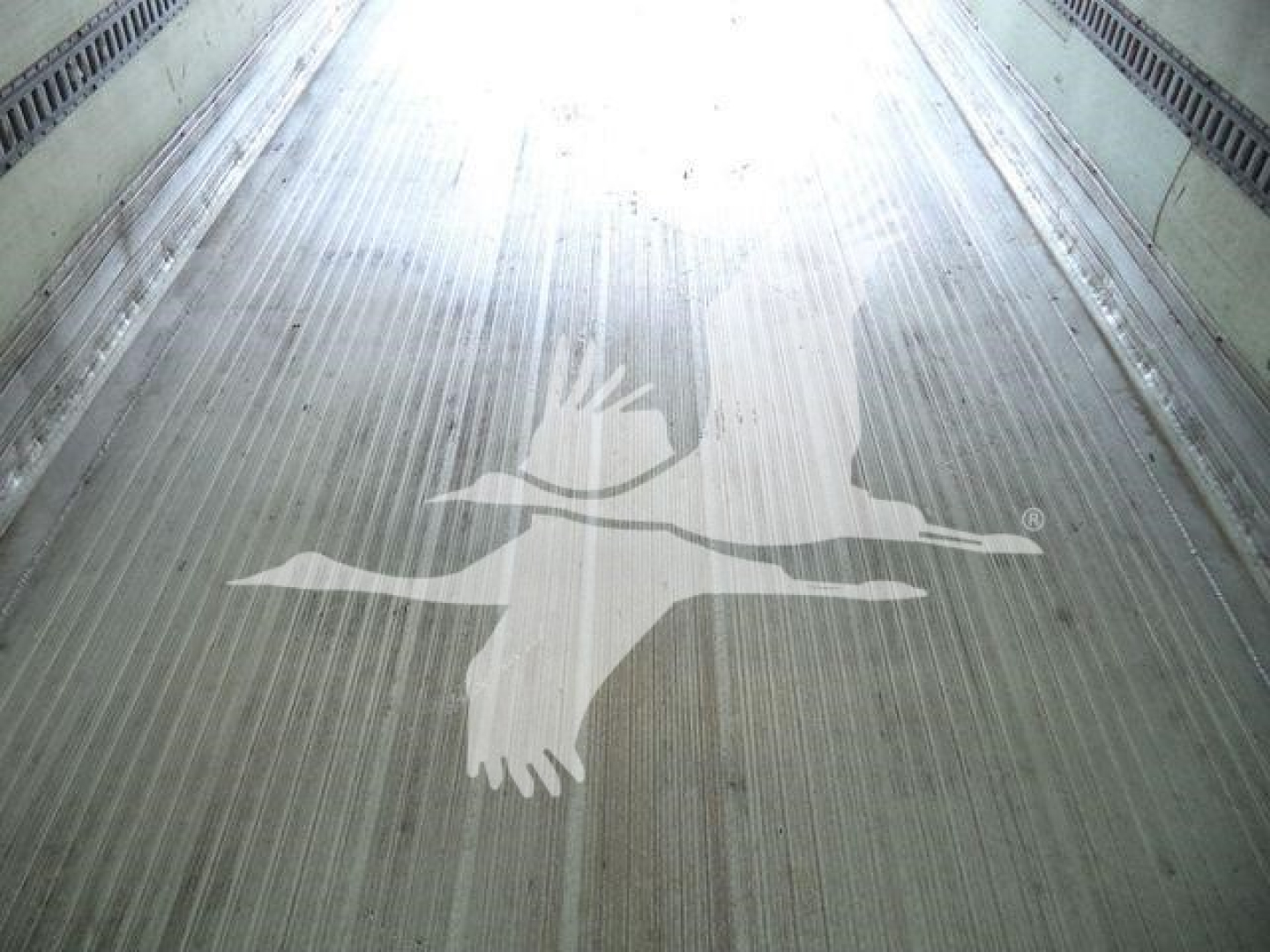 Freightliner M2 106 truck bed interior with ribbed metal floor and faded bird graphic watermark.