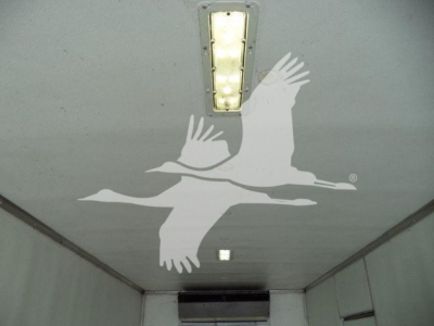 Truck cab interior ceiling with light strip showing a cargo area ceiling sign and birds watermark.
