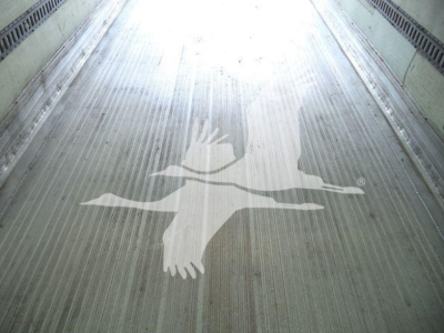 Freightliner M2 106 truck bed interior with ribbed metal floor and faded bird graphic watermark.