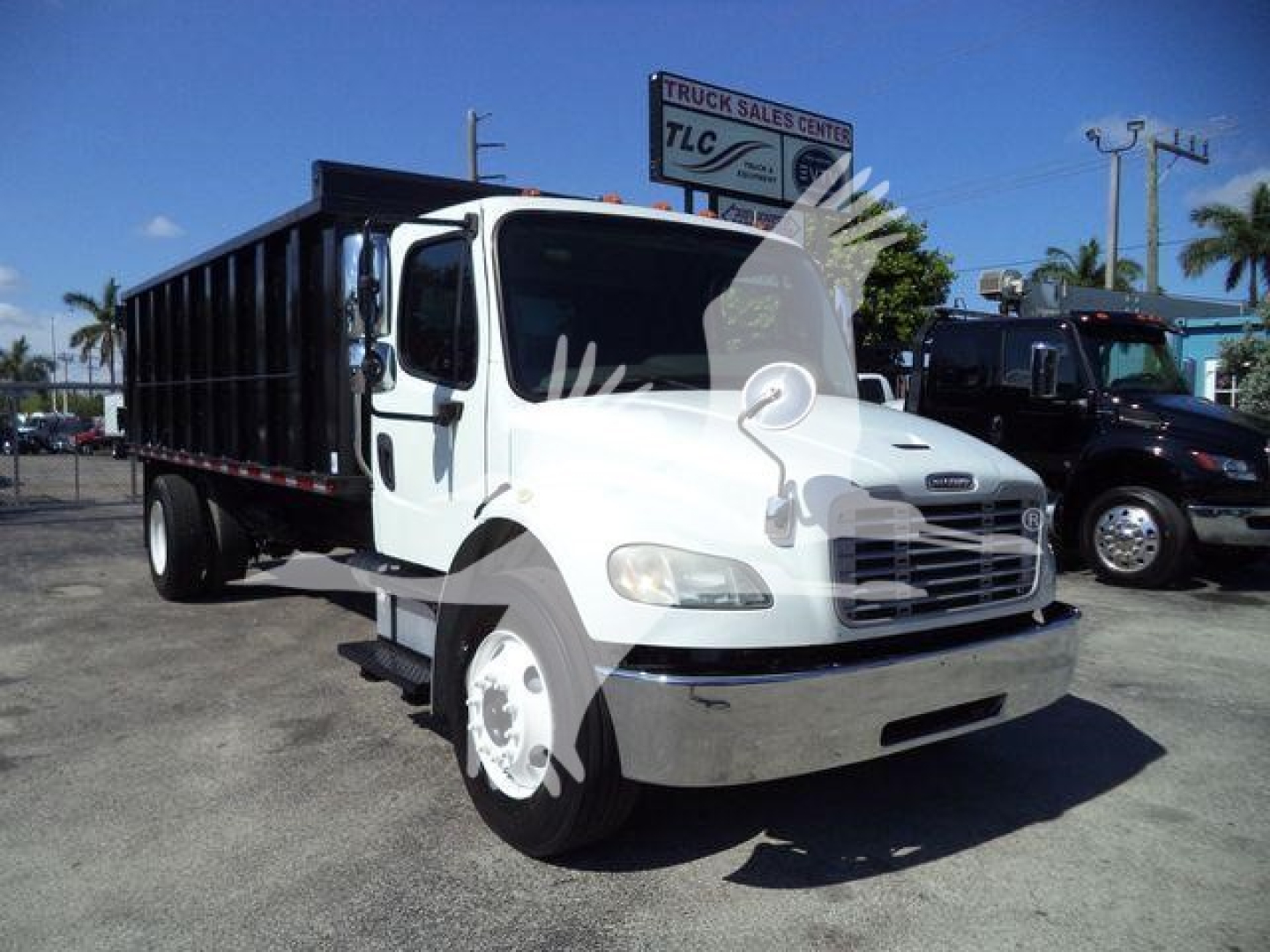 Freightliner M2 106 dump truck in white with black dump bed, front view showing cab and wheels