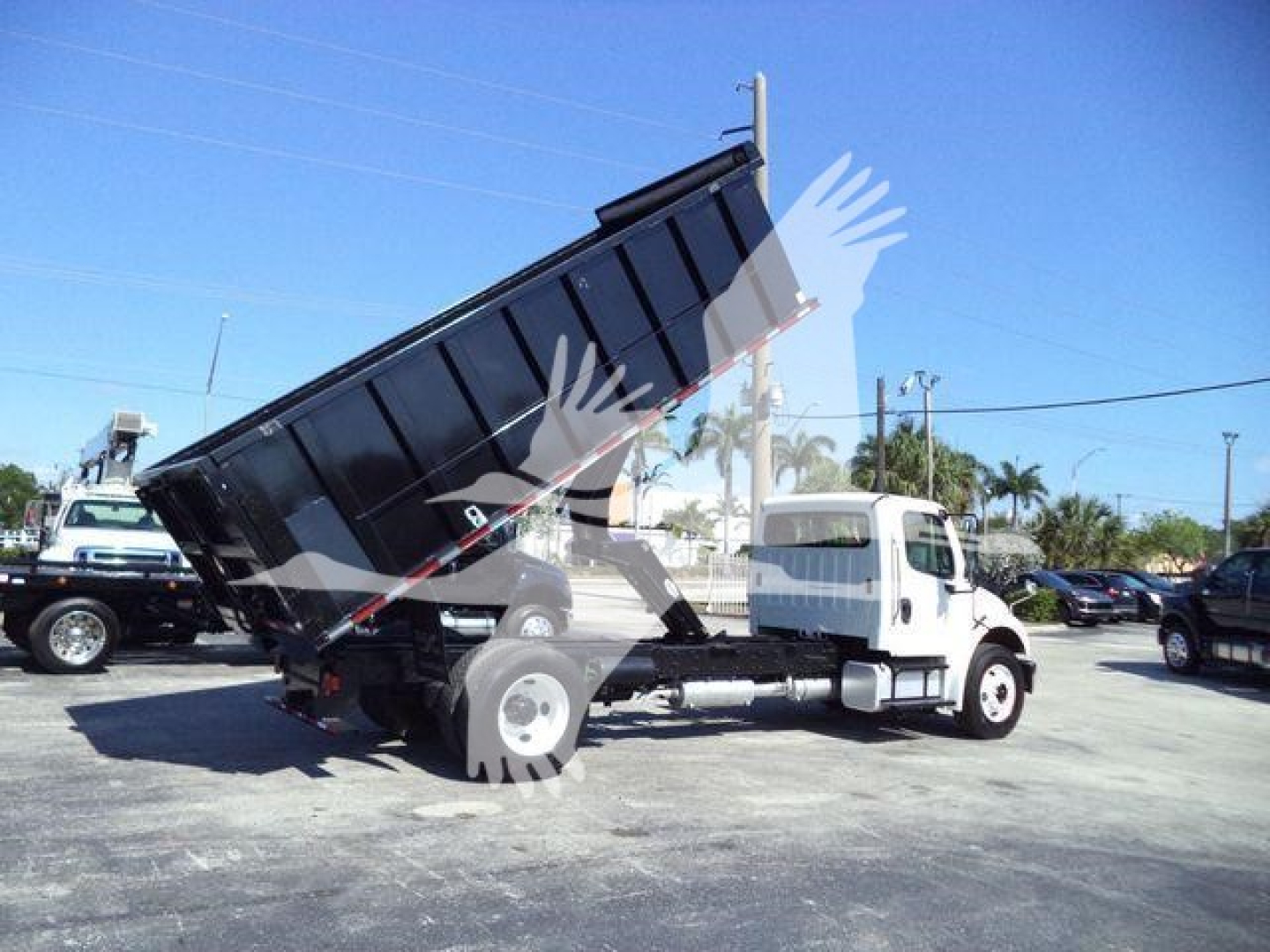 Dump truck with dumping bed raised, white Freightliner M2-106 cab, black cargo box, side view showing hydraulic lift and dual rear wheels.