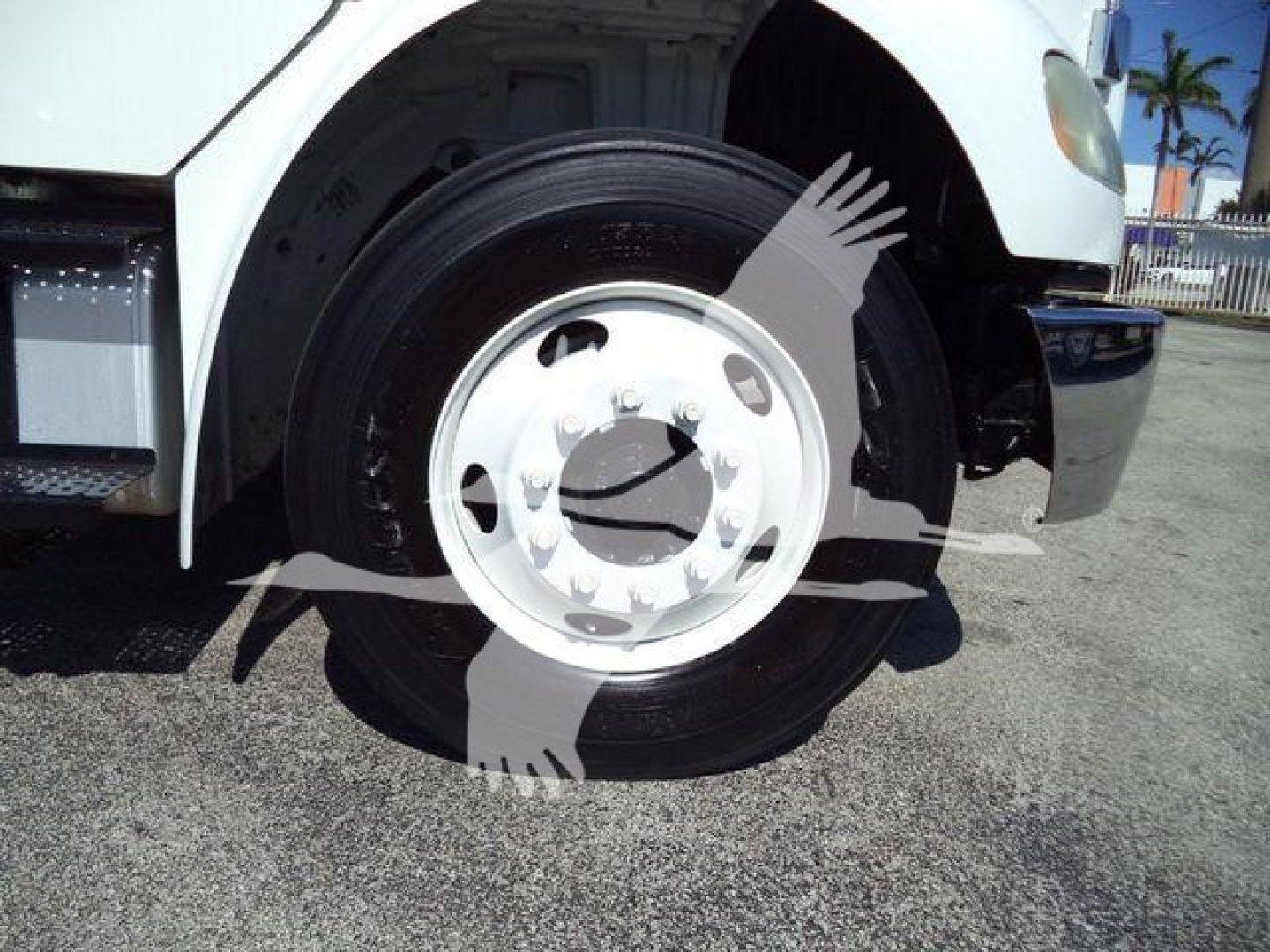 Front wheel and fender of a Freightliner M2 106 dump truck showing wheel, tire, and part of the white cab.