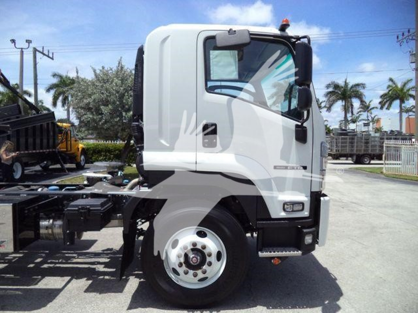 Isuzu Forward truck cab side view showing white cab and chassis with grey mirrors and wheel, in a dealership lot.