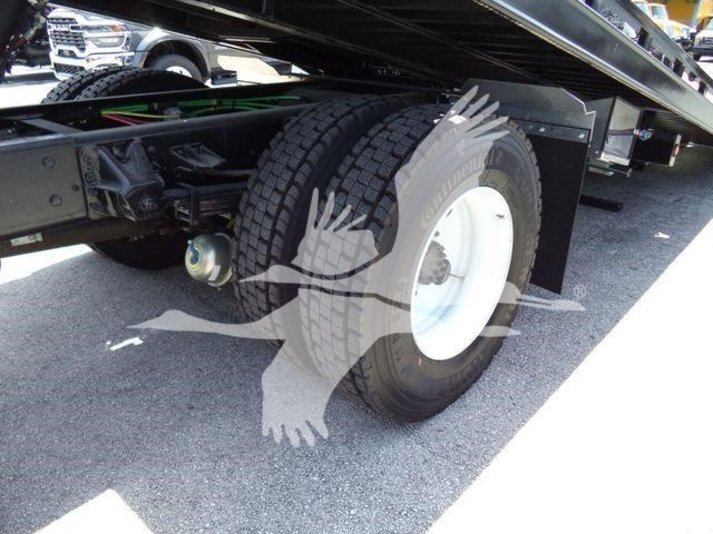 Isuzu FTR truck chassis rear wheel and undercarriage view showing dual rear tires, suspension, and frame components.