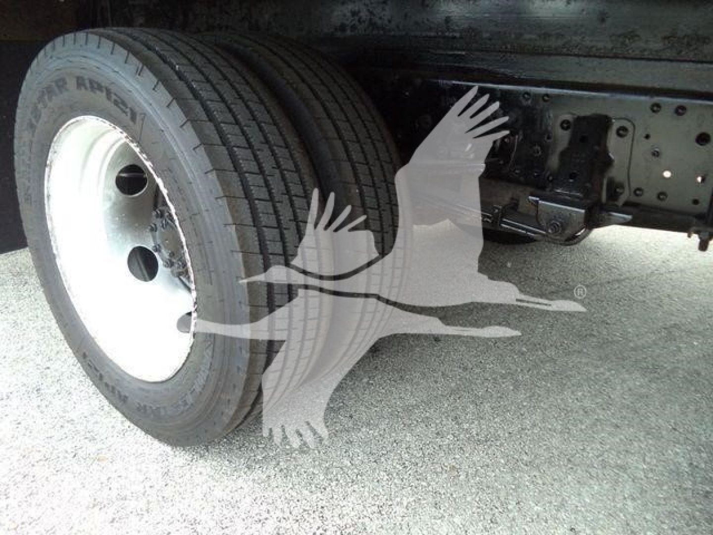 Isuzu NPR HD truck wheel and undercarriage view showing dual rear tires and chassis.