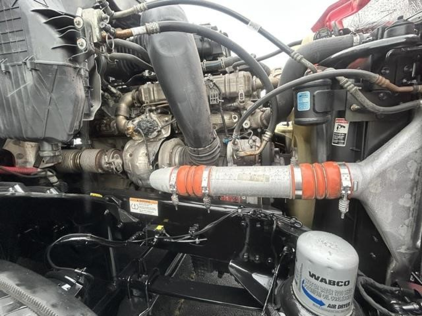 Freightliner Cascadia engine bay showing V-belt, hoses, and air intake with WABCO component label.