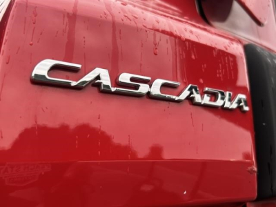 Cascadia badge on red Freightliner truck with water droplets on surface, close-up rear view showing 'CASCADIA' chrome lettering.