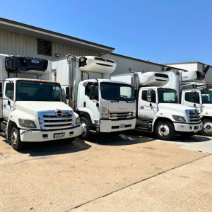 Lineup of white Isuzu refrigerated trucks parked outside a building; front grill badges visible; no legible model text