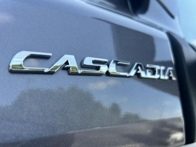 Freightliner Cascadia emblem on side of truck cab showing chrome CASTER/SCADIA text and reflection