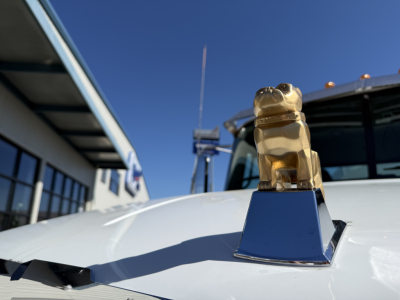 Mack mixer truck hood ornament with hood badge showing a gold bulldog and chrome base on a white truck hood.