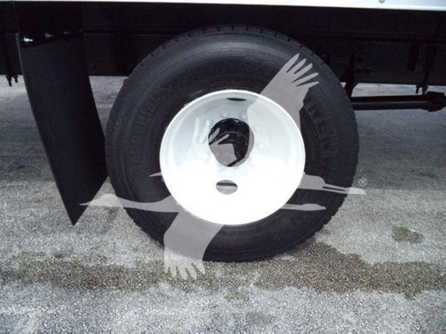 Truck wheel and tire assembly on a box truck showing a white steel rim and black tire underbody.