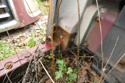 Mack CH612 hood area showing rusted corroded mounting area and surrounding body panels with vegetation