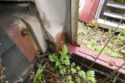 Mack CH612 hood area showing rusted hinge bracket and chassis near ground with overgrown plants
