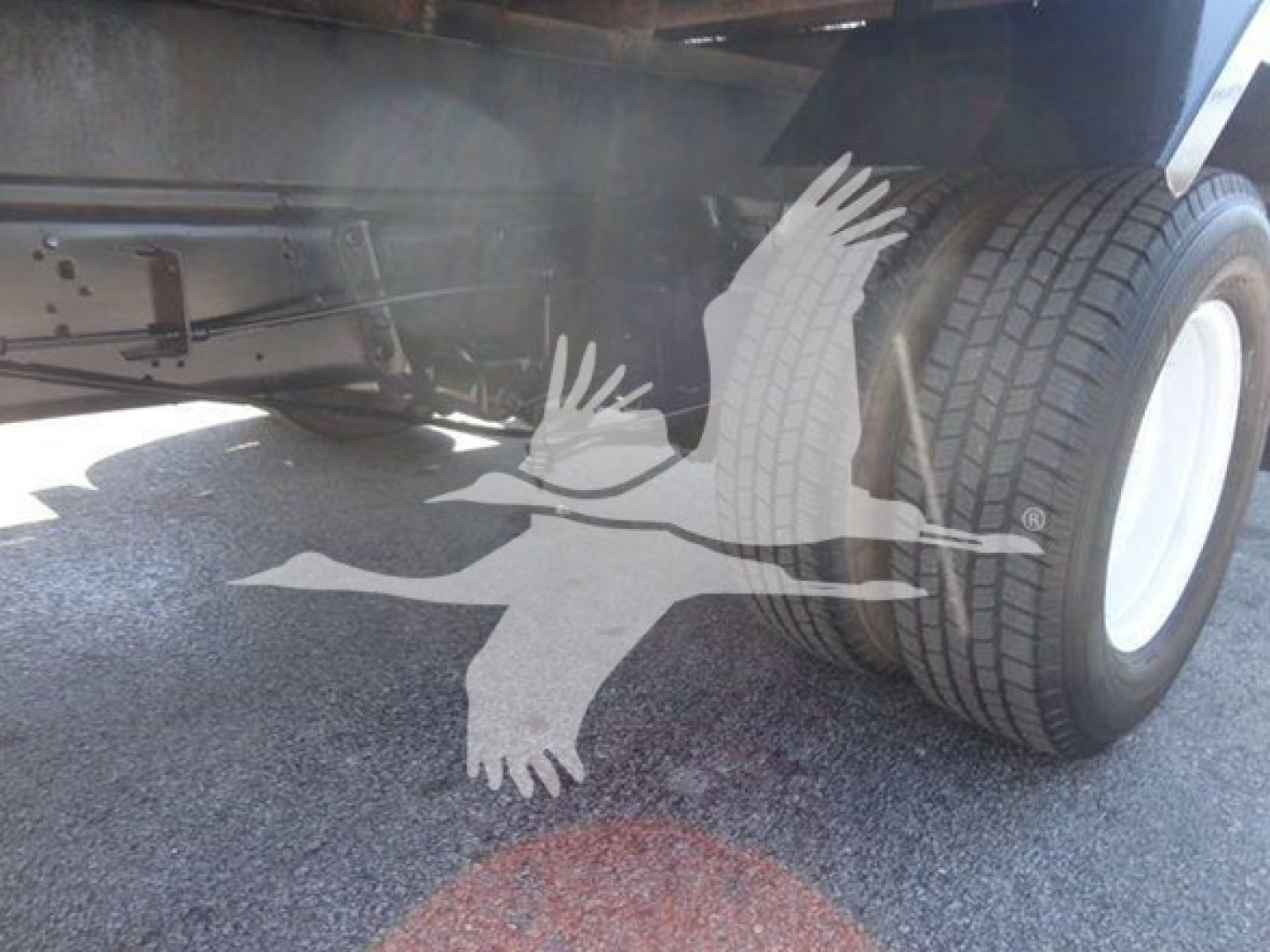 Ford E-450 flatbed truck wheel and frame with partial reflection of a bird graphic on the side. Visible: tire on right, undercarriage and frame.
