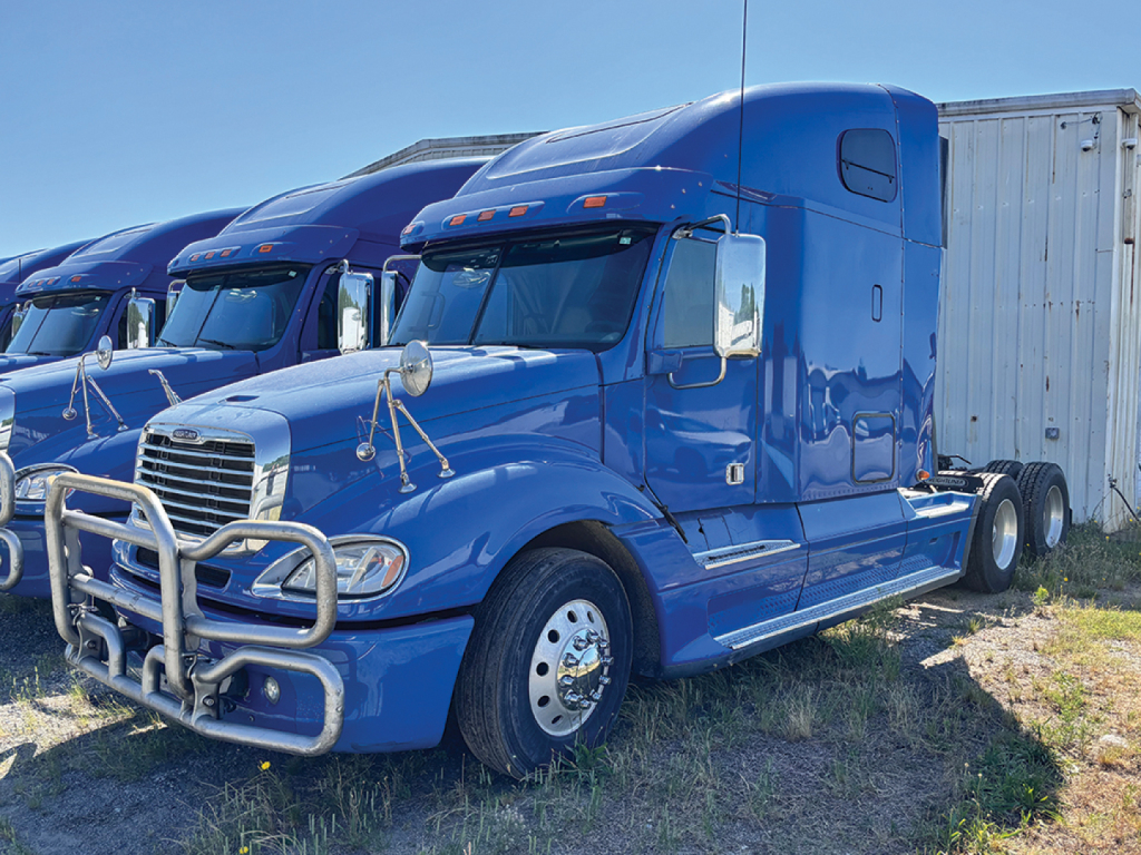 Freightliner semi-truck in blue cab with high sleeper, chrome bumper guard, and dual rear axles visible