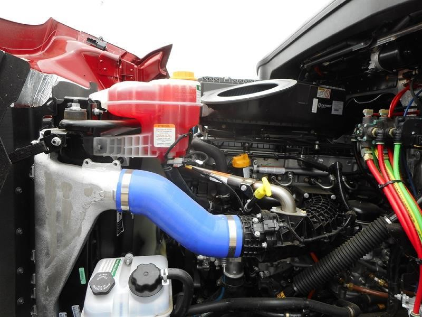 Western Star truck engine bay showing blue intercooler hose, coolant reservoir, and various colored wires and hoses.