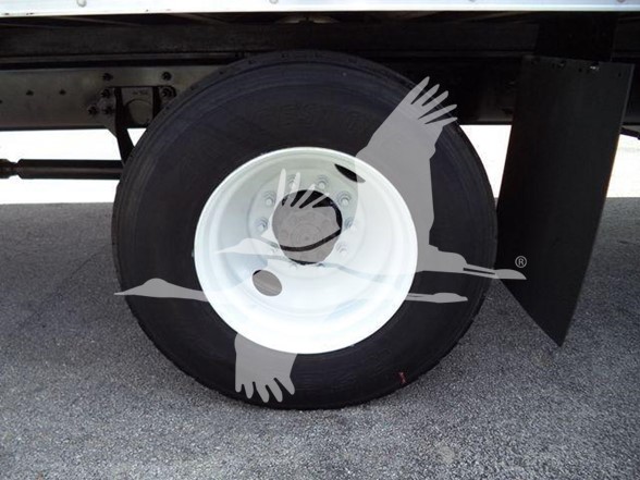2019 International Durastar 4300