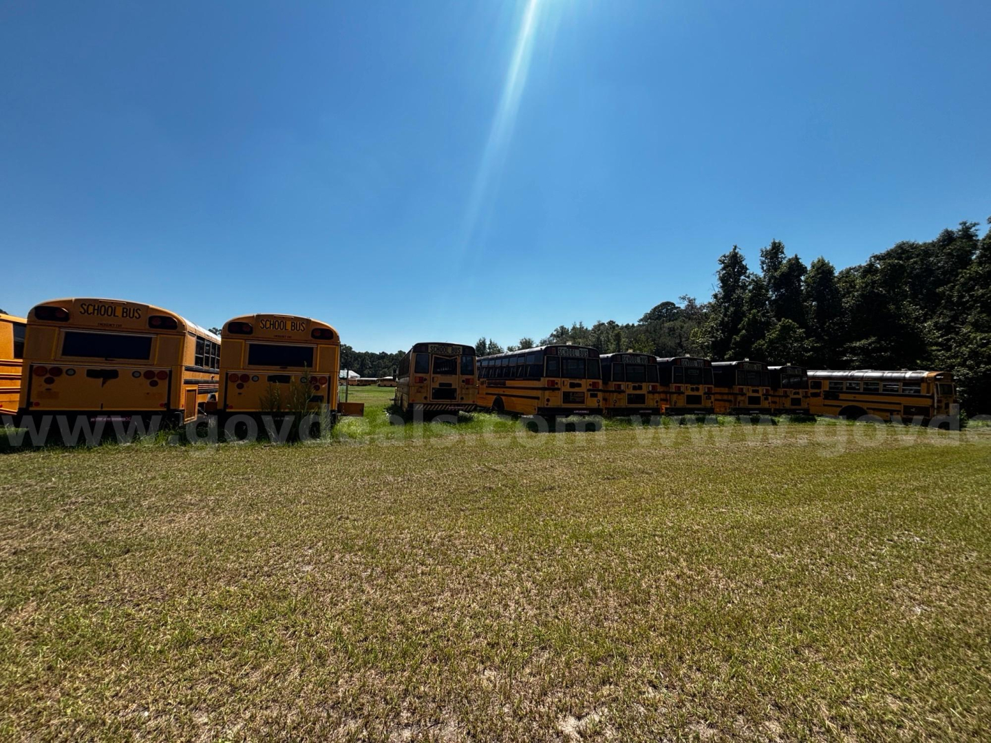 Scene shows a row of yellow school buses parked on grassy field under blue sky.