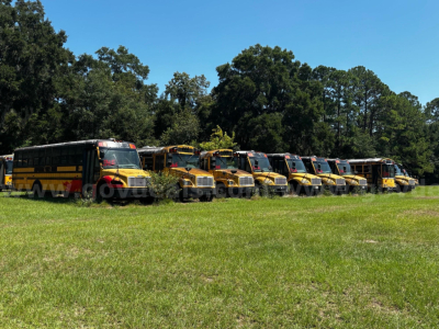 Line of used yellow school buses parked on grass with trees in the background.