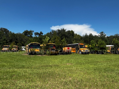 Multiple yellow school buses parked in a field under blue sky.