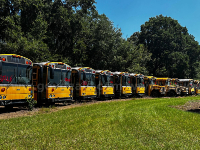 Multiple yellow school buses parked in a row in a grassy lot; Freightliner/Bluebird style with rounded fronts and black windows visible.