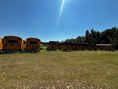 Scene shows a row of yellow school buses parked on grassy field under blue sky.