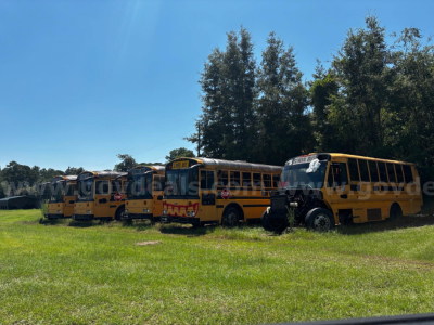 Line of used yellow school buses parked on grass with clear blue sky in background.