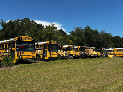 Yellow school buses parked in a lot, row of used buses with blue sky and trees in background.