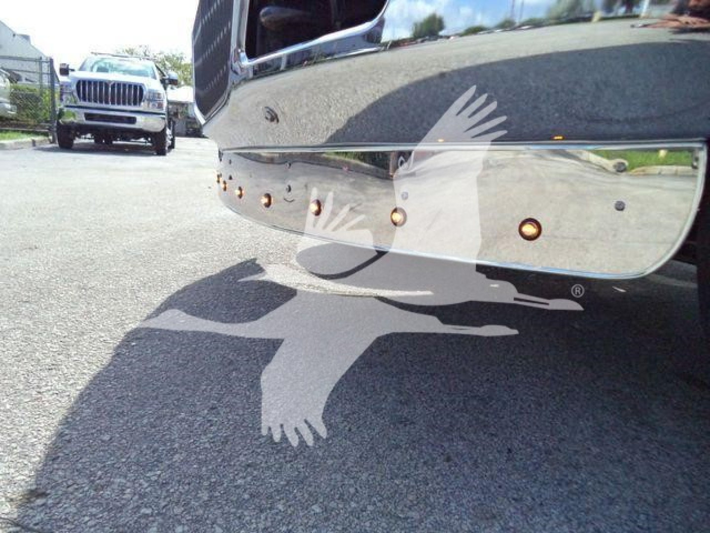 Truck bumper close-up showing chrome front with reflection and bird watermark
